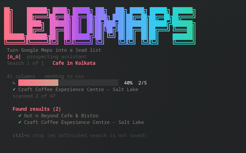 The Leadmaps startup banner in the Python edition: the wordmark in a terracotta gradient, the tagline, and the version.
